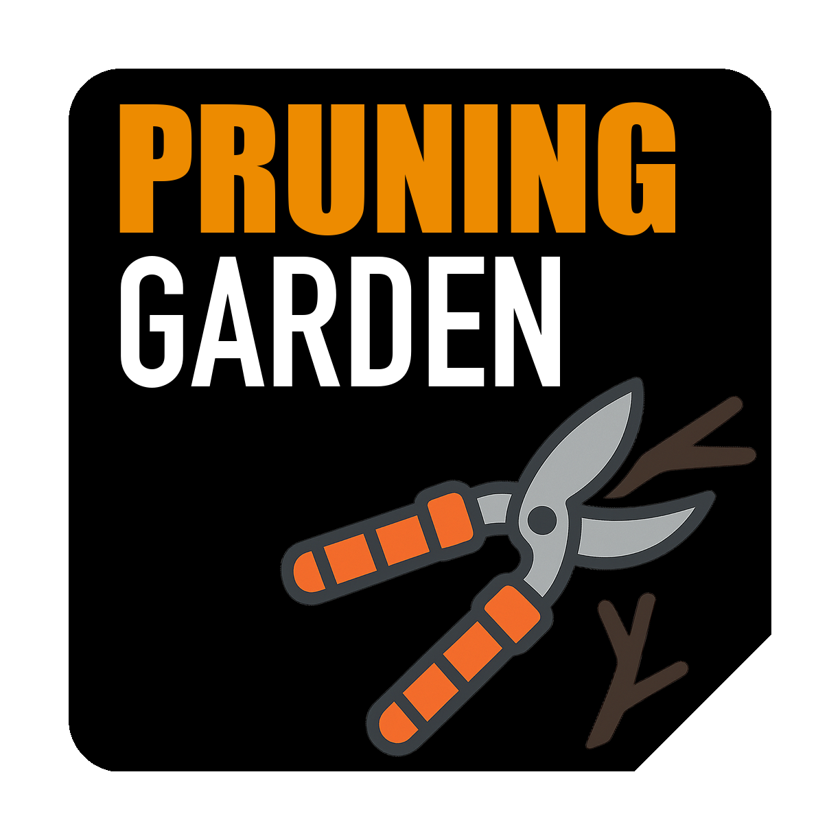 Τύπος Χρήσης