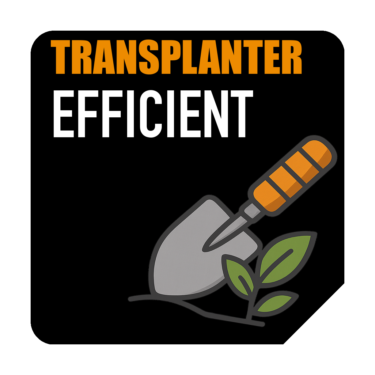 Précision de transplantation