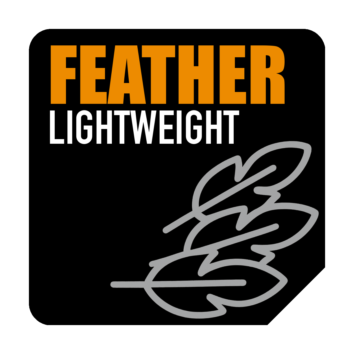 Weight Without Paint