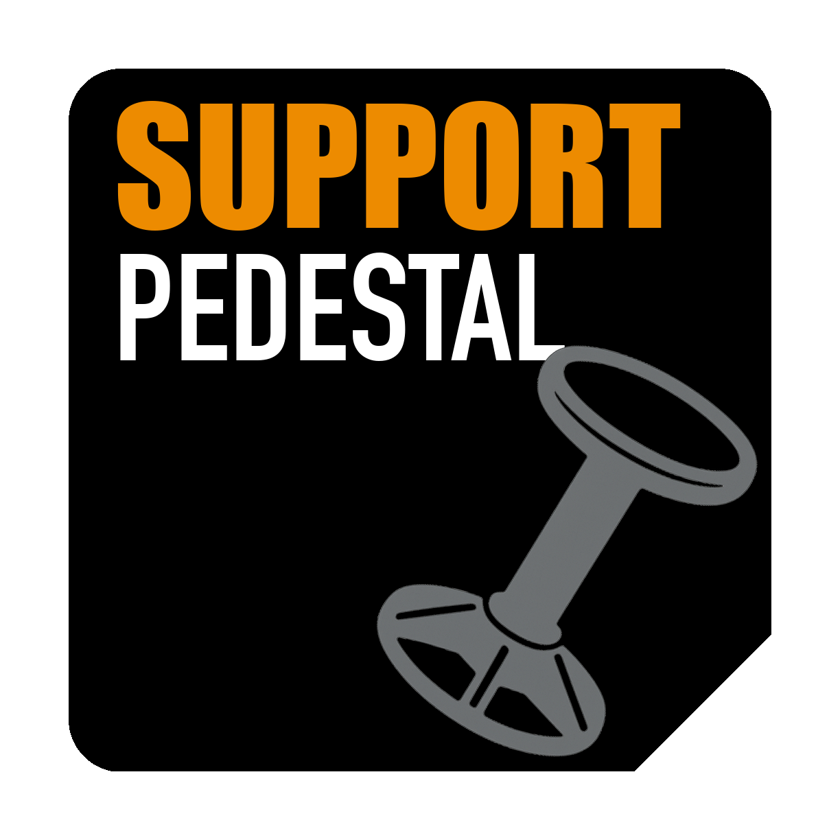 قاعدة ثابتة