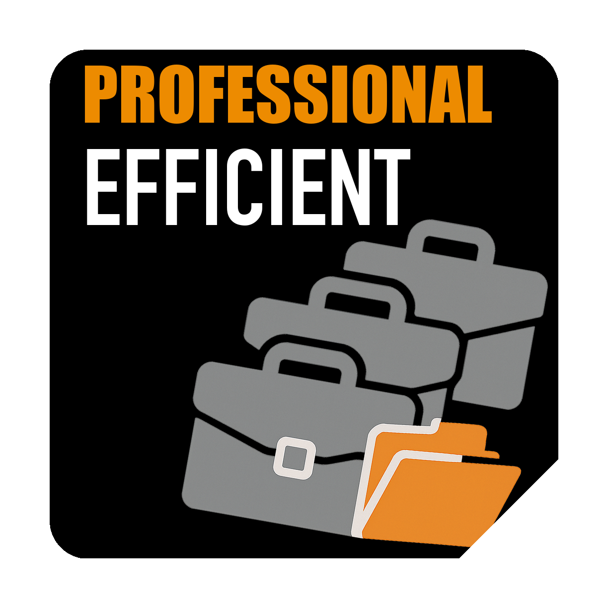 Usage Type – Professional