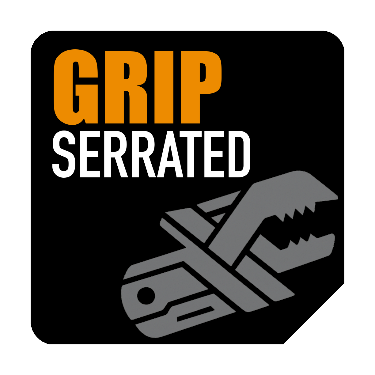 طراحی دندانهای فک