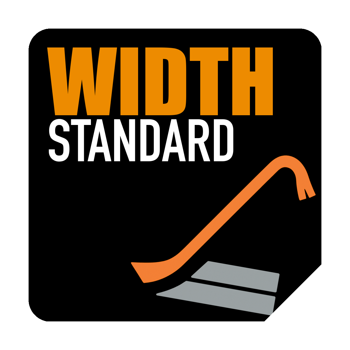 القياس القياسي