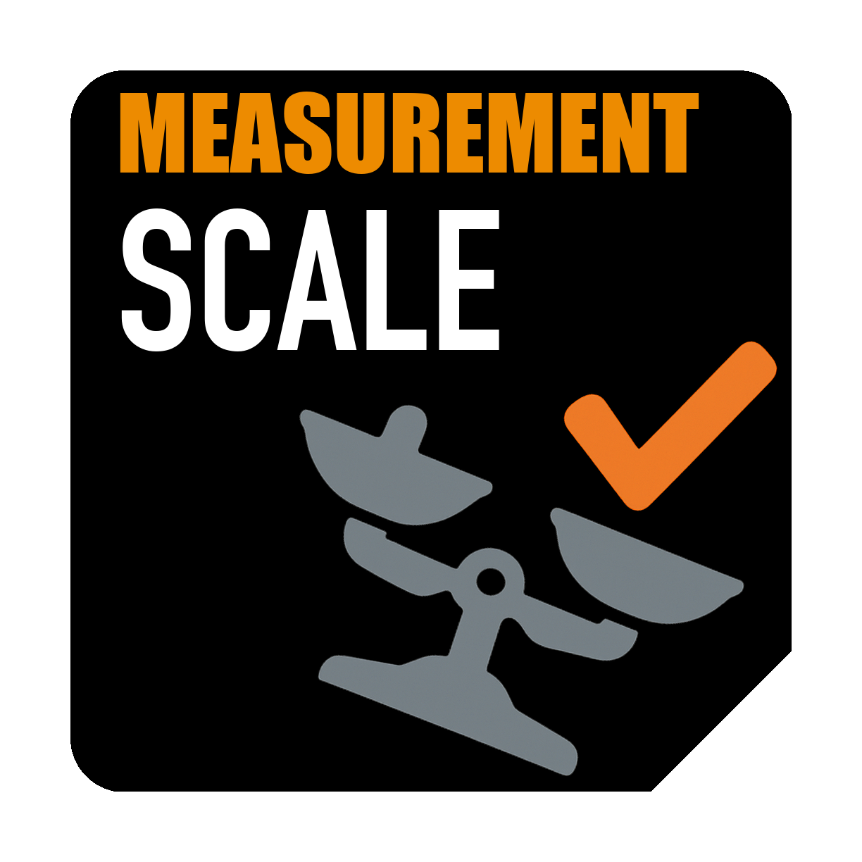 Measurement Scale